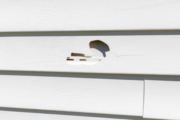 Best Construction Debris Removal  in Crittenden, KY